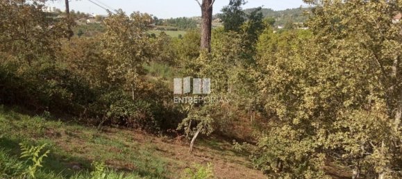 Grundstück in Marco de Canaveses, Portugal 6340m², Nr. 54925 18