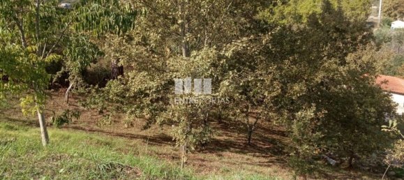 Grundstück in Marco de Canaveses, Portugal 6340m², Nr. 54925 2