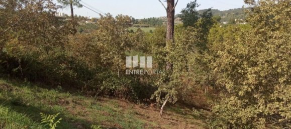 Grundstück in Marco de Canaveses, Portugal 6340m², Nr. 54925 3