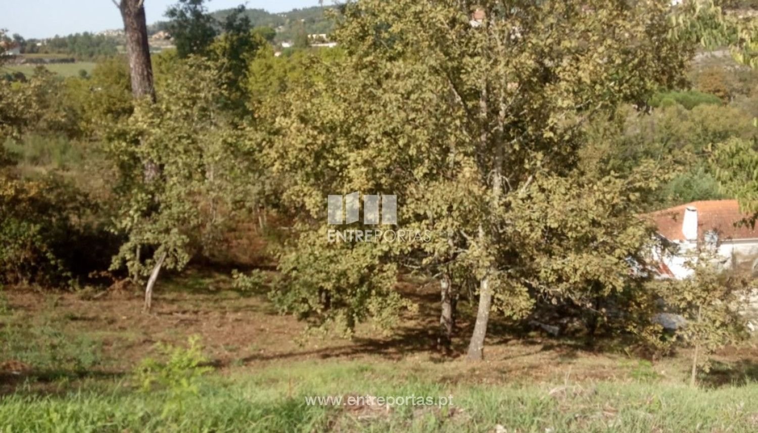 Grundstück in Marco de Canaveses, Portugal 6340m², Nr. 54925