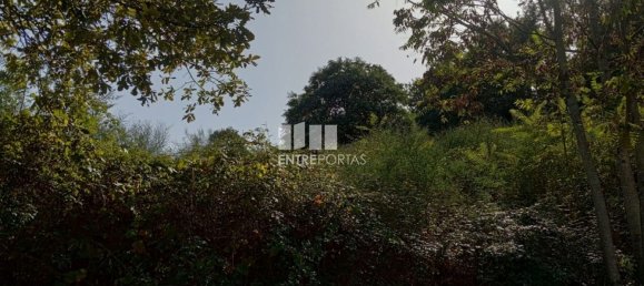 Grundstück in Marco de Canaveses, Portugal 6340m², Nr. 54925 16