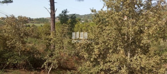 Grundstück in Marco de Canaveses, Portugal 6340m², Nr. 54925 12