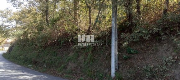 Grundstück in Marco de Canaveses, Portugal 6340m², Nr. 54925 17