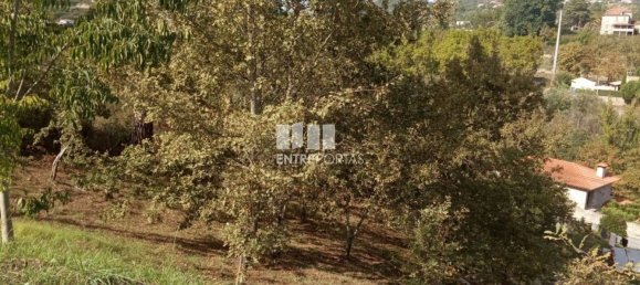 Grundstück in Marco de Canaveses, Portugal 6340m², Nr. 54925 8