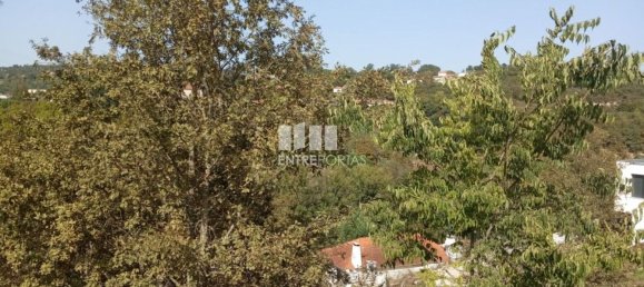 Grundstück in Marco de Canaveses, Portugal 6340m², Nr. 54925 5