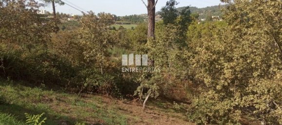 Grundstück in Marco de Canaveses, Portugal 6340m², Nr. 54925 7