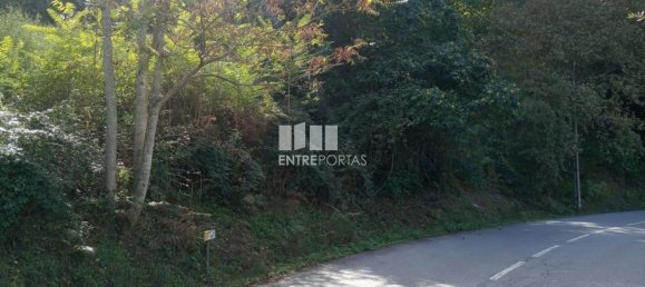 Grundstück in Marco de Canaveses, Portugal 6340m², Nr. 54925 15