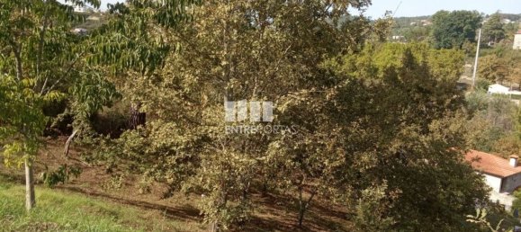 Grundstück in Marco de Canaveses, Portugal 6340m², Nr. 54925 11