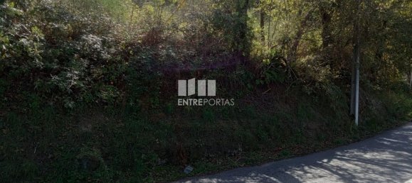 Grundstück in Marco de Canaveses, Portugal 6340m², Nr. 54925 13