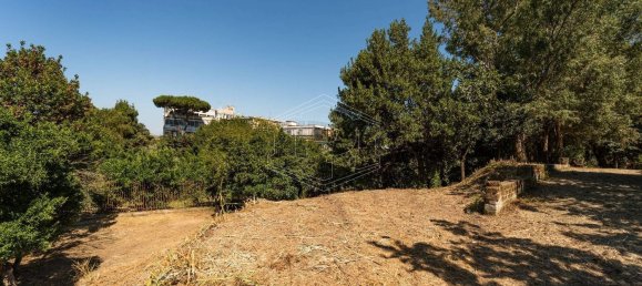 10 rooms Villa in Naples, Italy No. 67167 9