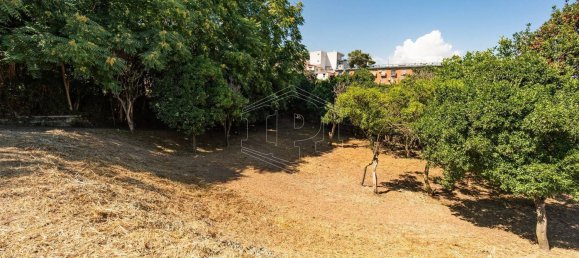 10 rooms Villa in Naples, Italy No. 67167 23