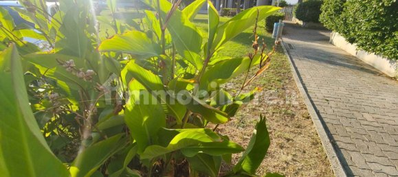 2 bedrooms Apartment in Livorno, Italy No. 307927 27