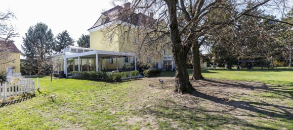 11-Zimmer Haus in Eckartsau, Austria, Nr. 181540 30