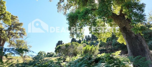  Land in Tarifa, Spain No. 153338 24