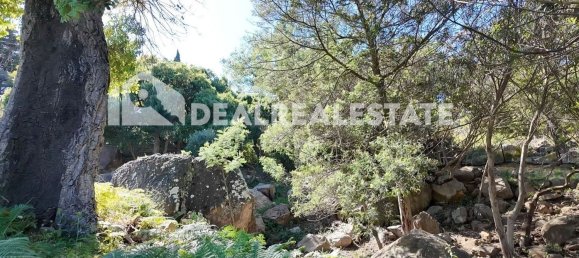  Land in Tarifa, Spain No. 153338 14