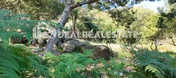  Land in Tarifa, Spain No. 153338 12