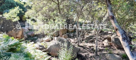  Land in Tarifa, Spain No. 153338 13