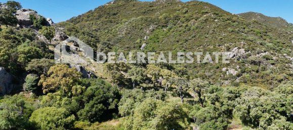  Land in Tarifa, Spain No. 153338 6