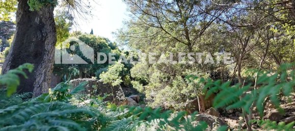  Land in Tarifa, Spain No. 153338 15