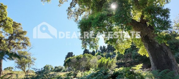  Land in Tarifa, Spain No. 153338 23