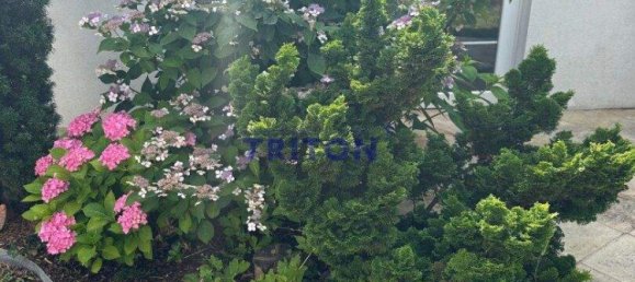 6 rooms House in Neufeld an der Leitha, Austria No. 213689 43