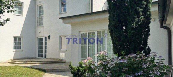 6 rooms House in Neufeld an der Leitha, Austria No. 213689 6