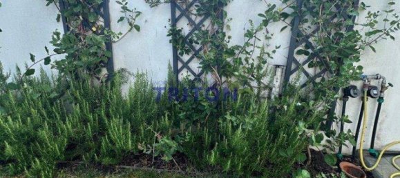 6 rooms House in Neufeld an der Leitha, Austria No. 213689 36