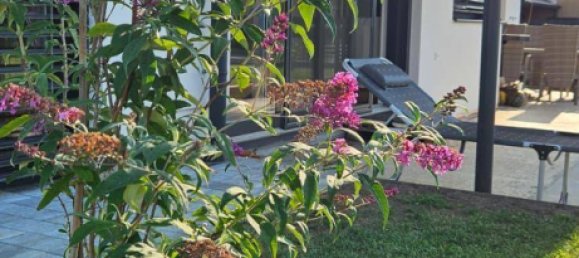 5-salle Maison à Hartberg, Austria No. 257954 3