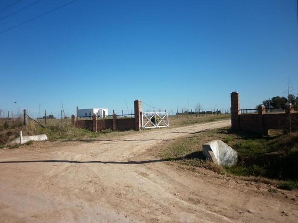  Land in San Antonio de Areco, Argentina No. 50594