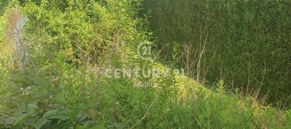 Земельный участок в Ла Мадлен, Франция № 58874 2