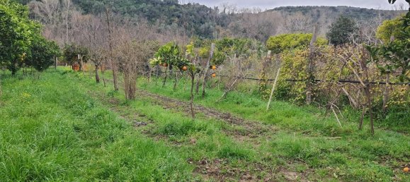 3 rooms Apartment in Battipaglia, Italy No. 120022 6