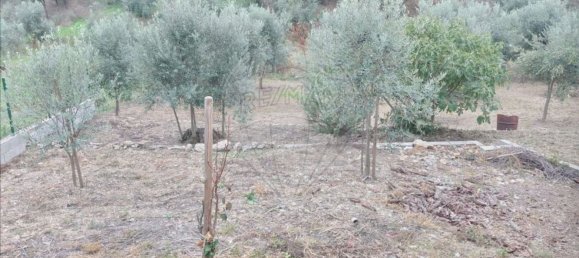 2 bedrooms House in Serta, Portugal No. 31449 15