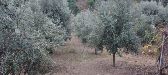 2 bedrooms House in Serta, Portugal No. 31449 13