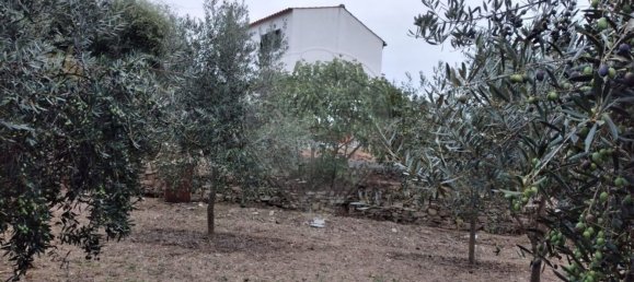 2 bedrooms House in Serta, Portugal No. 31449 16