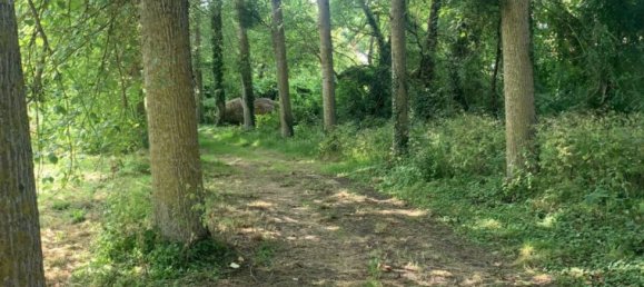 Terrain à Noizay, France 1431m² No. 45759 3