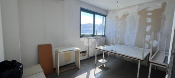 Офис 170м² в Пьянига, Италия № 273741 11
