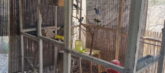 6 غرف نوم منزل في Moralet, Spain رقم 27556 41