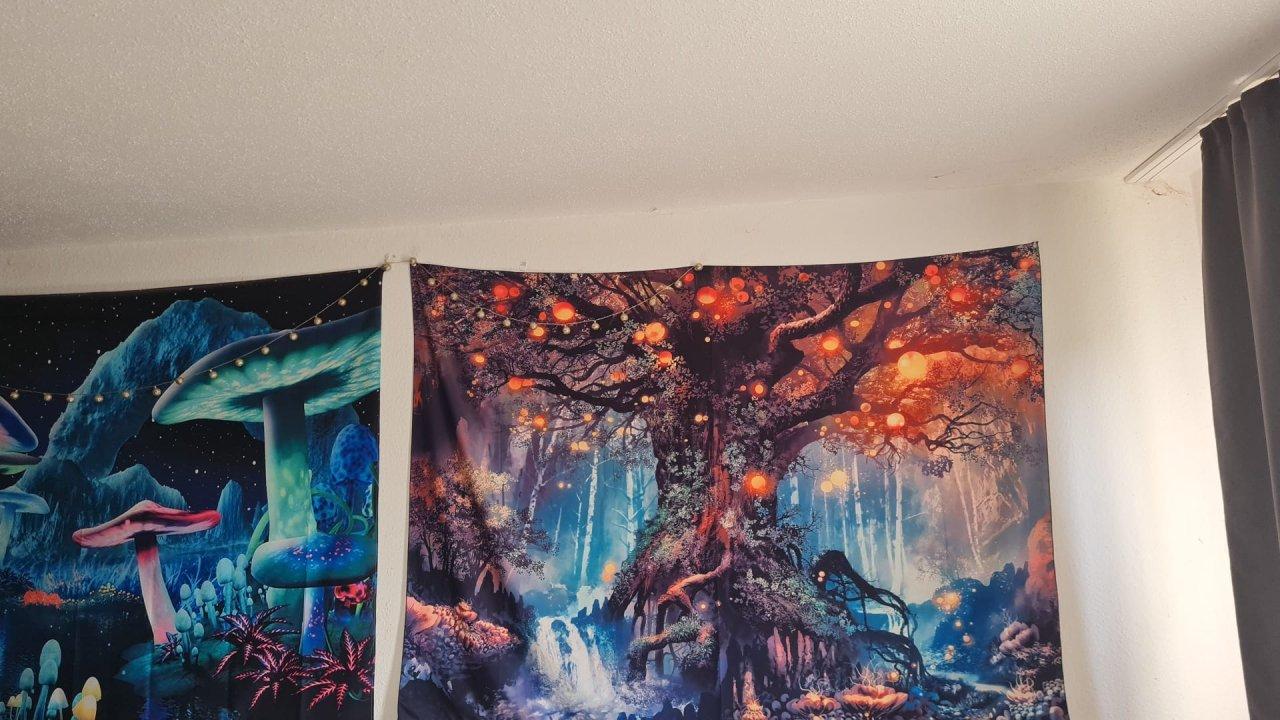 Estúdio em Cuxhaven, Germany N.º 342293