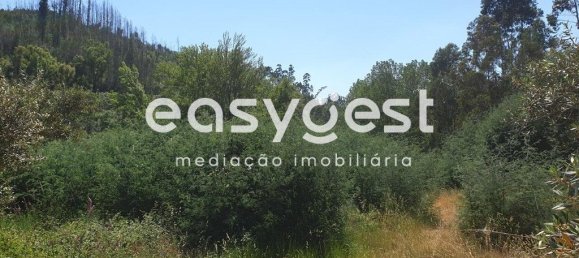 1350m² Land in Miranda do Corvo, Portugal No. 90909 4