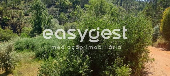 1350m² Land in Miranda do Corvo, Portugal No. 90909 3