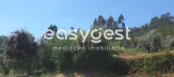 1350m² Land in Miranda do Corvo, Portugal No. 90909 5