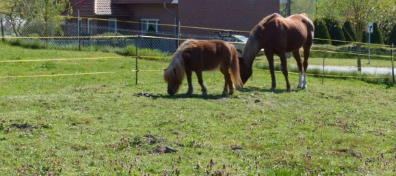 3 bedrooms Townhouse in Demmin, Germany No. 124345 16