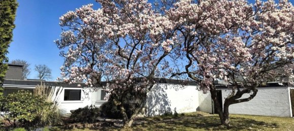 5-Zimmer Stadthaus in Bielefeld, Germany, Nr. 274826 5