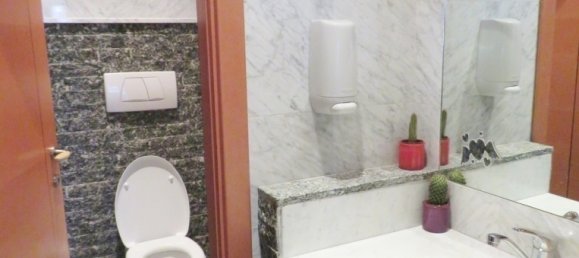 Gewerbliche Immobilie in Trentino-Alto Adige, Italy 113m², Nr. 91052 7