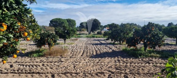 7 bedrooms Castles in Grandola, Portugal No. 88455 35