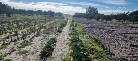 7 bedrooms Castles in Grandola, Portugal No. 88455 28