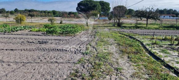 7 bedrooms Castles in Grandola, Portugal No. 88455 36