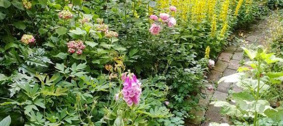 Apartamento T1 em Leopoldstadt, Austria N.º 243736 3