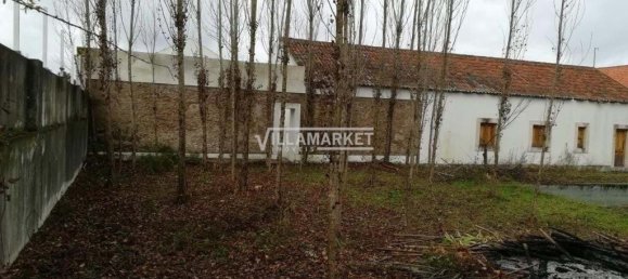 Вилла с 6 спальнями в Санта Маргарида да Котада, Португалия № 141224 2