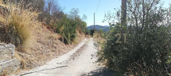 4000m² Land in Piana degli Albanesi, Italy No. 371180 4